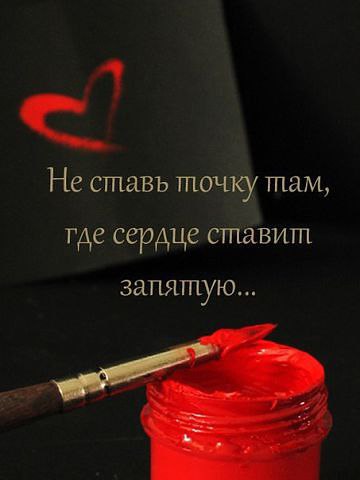   - 17  2016  14:46