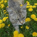  ,  -  13  2016   ...