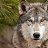 ���� ������, �����-���������, 61 ��� - ��������� 26 ���� 2016