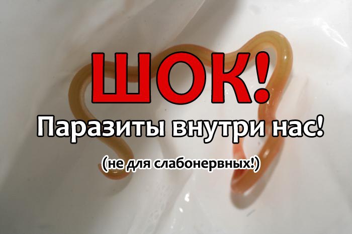     3-    -.     ...