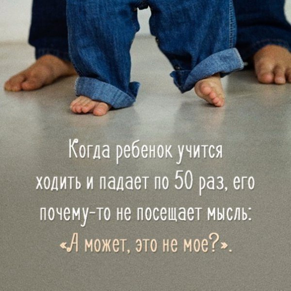 IQ Blog: , , ,  - 9  2016  17:13