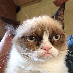 �������, ������, 48 ���