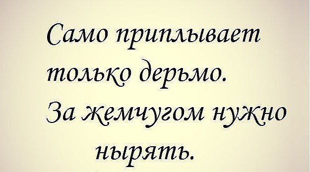   - 21  2016  10:31