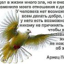  , , 49  -  20  2016    )))