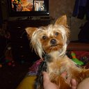 ���� ����, �����-���������, 46 ��� - ��������� 5 ������ 2016 � ������ ���� ����������