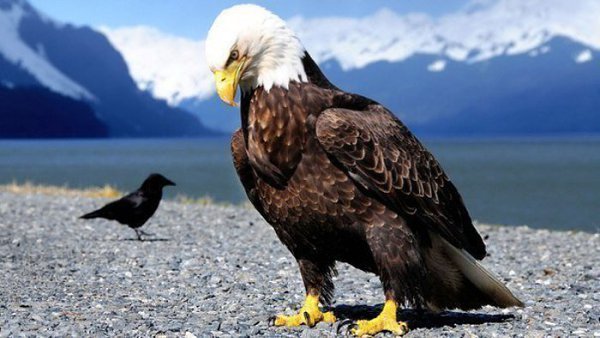   40               ...