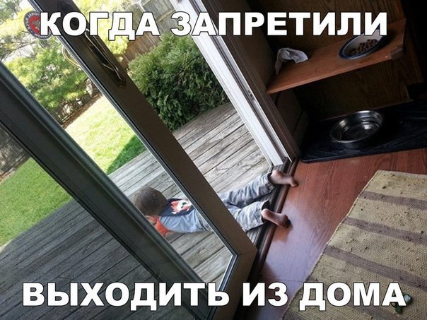   ! - 6  2016  17:38