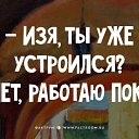 ���� ����, ��������� - ��������� 4 �������� 2016 � ������ ���������� ���������