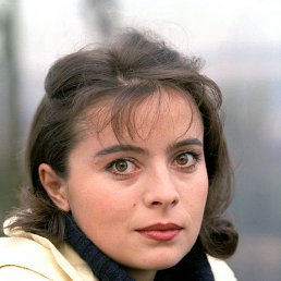 ��������, ��������, 53 ����