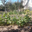  , , 63  -  7  2016   )))