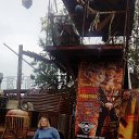 ���� �����, ����� - ��������� 7 ������� 2016 � ������ ���� ����������