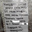 ���� �����, ������������ - ��������� 24 ������ 2016 � ������ ������ ��������