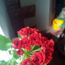 ���� ����, ������, 56 ��� - ��������� 6 ���� 2016 � ������ ���� ����������