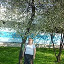  -   !,  -  12  2016     2016