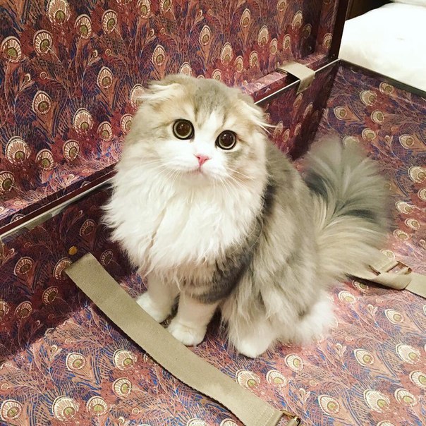   :3 - 5
