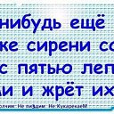 ���� ���������, ������ - ��������� 7 ��� 2016 � ������ ������ ��������