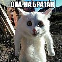 ���� ����, ����������, 45 ��� - ��������� 23 ���� 2016 � ������ ���� ����������