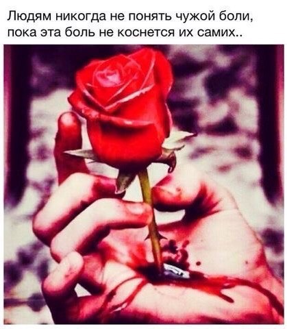  - 8  2016  17:50