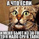 ���� ���, ������ - ��������� 30 ��� 2016 � ������ ���� ����������