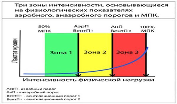 Зоны интенсивности. Классификация тяжести физической нагрузки по зонам интенсивности. Существует ряд ...