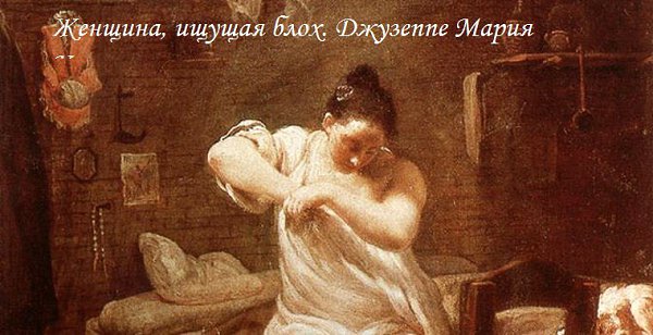 Как устроен туалет чукчи? Это две палки. Одна — чтобы шубу вешать, другая — волков отгонять. ... - 11