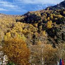 ���� ������, ���������, 66 ��� - ��������� 1 ������� 2016 � ������ ���� ����������