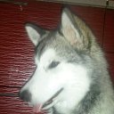 ���� �����, ������� - ��������� 25 ����� 2016 � ������ ������������ �������