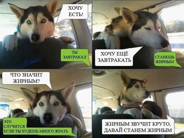 ���� - 13 ������ 2016 � 09:42