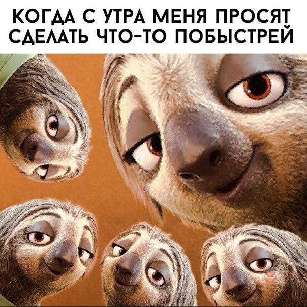  - 19  2016  20:24