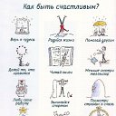 ���� �������, ������ ��������, 53 ���� - ��������� 11 ���� 2016 � ������ ������ ��������