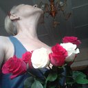  , -, 69  -  11  2016    