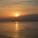 ���� ���������, �������, 44 ���� - ��������� 20 ������� 2016