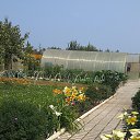 ���� �������, ������, 71 ��� - ��������� 28 ���� 2016 � ������ ���� ����������