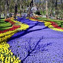 ���� Yigit, ����, 57 ��� - ��������� 26 ����� 2016