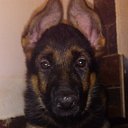 ���� ����, �����, 41 ��� - ��������� 3 ��� 2016 � ������ ������ ��������