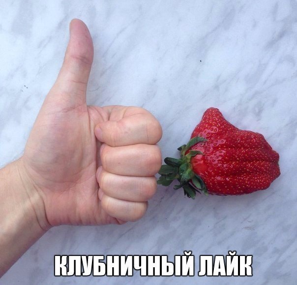    :D - 19  2016  15:31