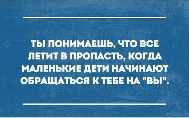    |   - 13  2016  11:01