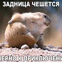  ,  -  25  2016    