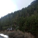 ���� ������, ���������, 66 ��� - ��������� 1 ������� 2016 � ������ ���� ����������