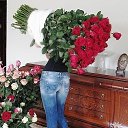 ���� �����, �����, 54 ���� - ��������� 3 ������ 2016