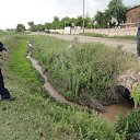 ���� ��������, �������, 66 ��� - ��������� 9 ���� 2016 � ������ ���� ����������