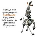 ���� ����� �����, ������ - ��������� 6 ������ 2016 � ������ ������ ��������