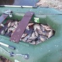 ���� ��������, ������, 61 ��� - ��������� 3 �������� 2016 � ������ ���� ����������