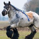 ���� ������, ����������� - ��������� 12 ���� 2016 � ������ ������ ��������