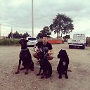 ���� �������, ������������, 34 ���� - ��������� 15 ���� 2016