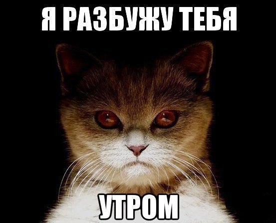  -  - 5  2016  12:22