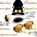 ���� ����, ������, 44 ���� - ��������� 16 ������ 2016 � ������ ������ ��������