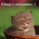 ���� ���, ������� - ��������� 2 ��� 2016 � ������ ������ ��������