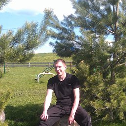 ���������, ����, 43 ����