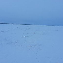 ���� Pirat, ������, 52 ���� - ��������� 12 ��� 2016